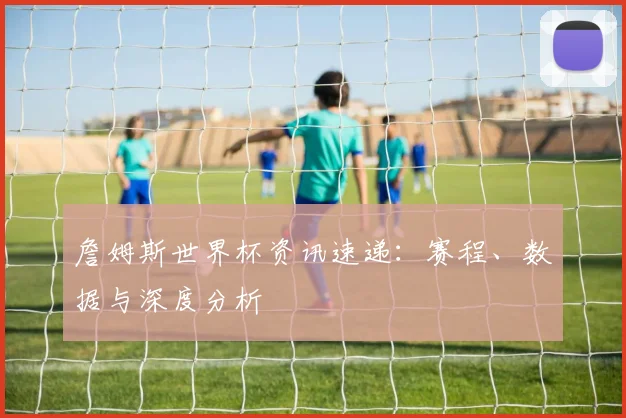 詹姆斯世界杯资讯速递：赛程、数据与深度分析